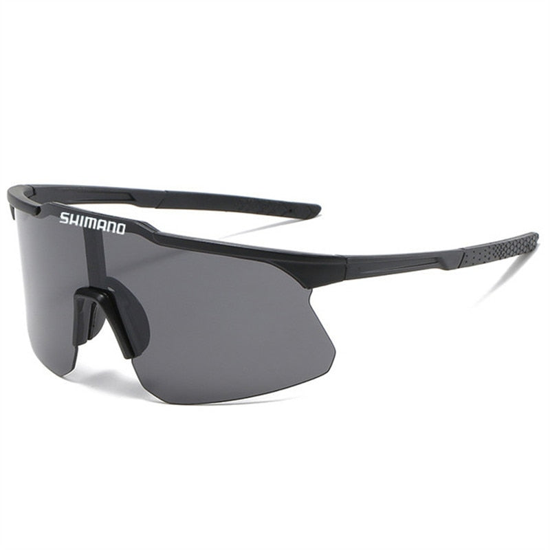 Large Frame Sunglasses