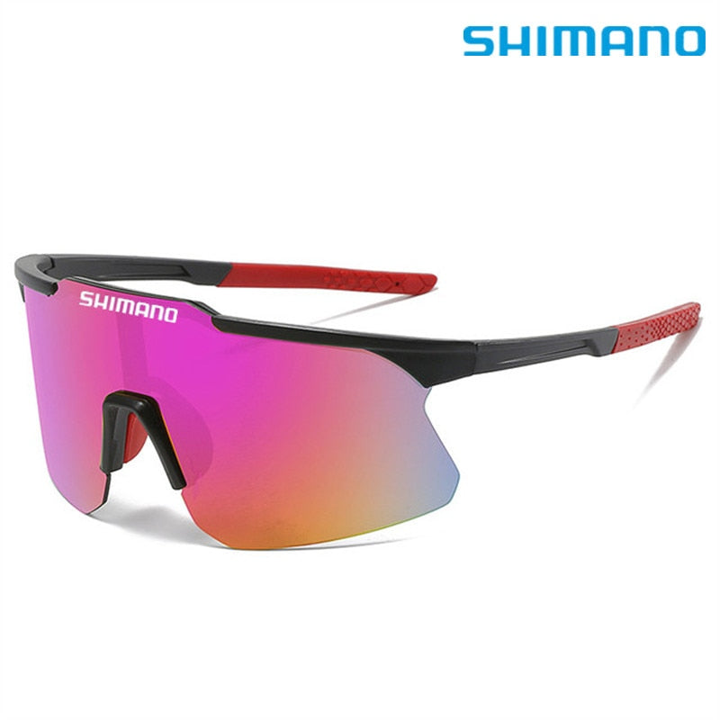 Large Frame Sunglasses