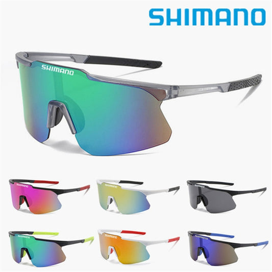 Large Frame Sunglasses